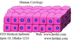 Human Cytology