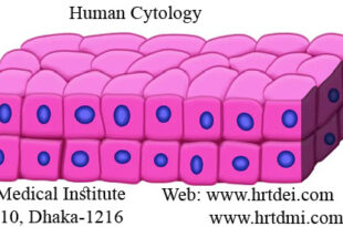 Human Cytology