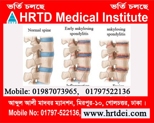 Orthopedic Disease 2