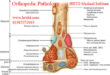Orthopedic Pathology & Diagnosis