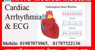 Cardiovascular Homeopathic Remedies