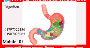 Digestion & Metabolism