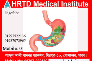Digestion & Metabolism