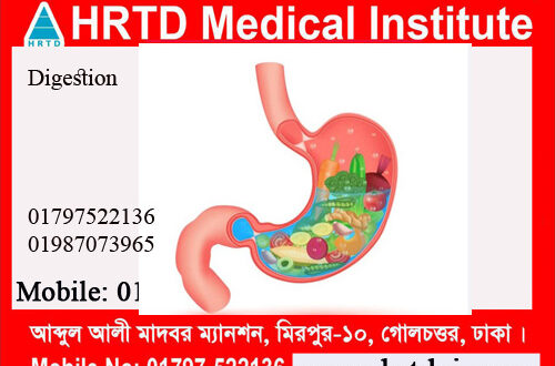 Digestion & Metabolism