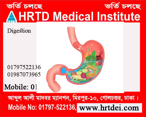 Digestion & Metabolism