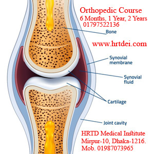 Orthopedic Course 