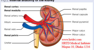 Chronic Kidney Disease (CKD)