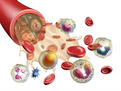 Dental Training Course 1 Year 4 image 15